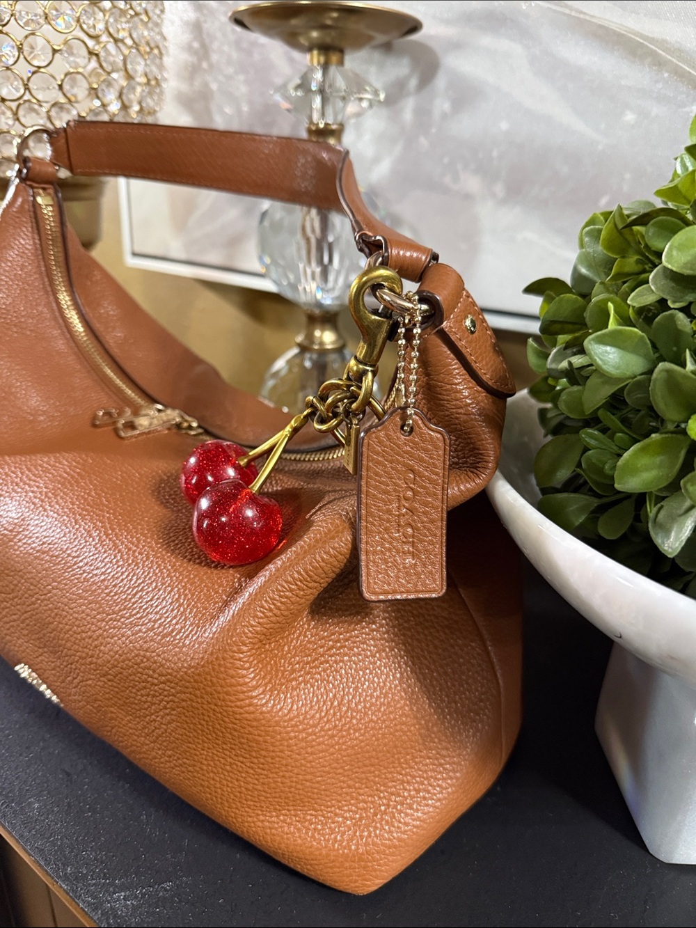 Coach Purse ๐ Charm & Wallet Set - Picture 2 of 10
